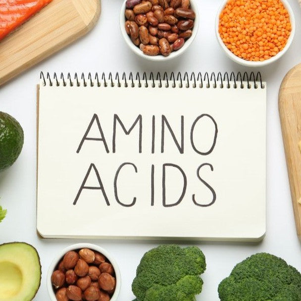 indyvit amino acid blood test