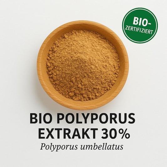 Bio Polyporus Extrakt