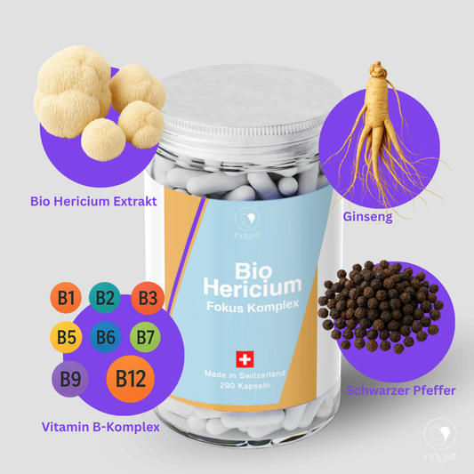 indyvit Hericium Fokus Komplex