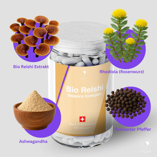 indyvit Reishi Balance Komplex