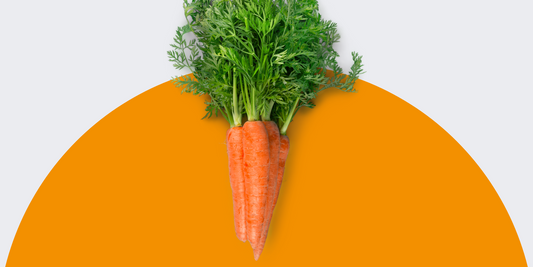 Karotten auf orangem Hintergrund