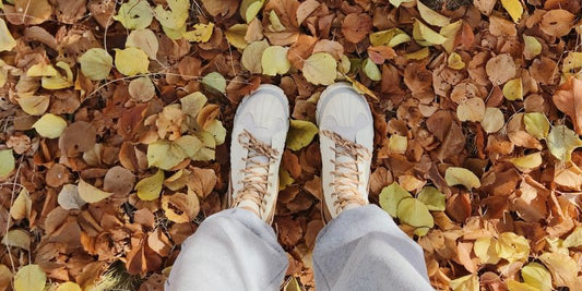 Schuhe im Herbstlaub.