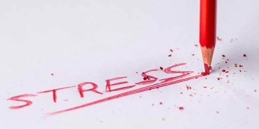 negativer Stress bedeutet mehr Distress