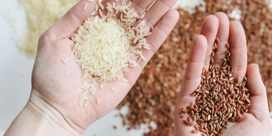 brauner Reis hat mehr Ballaststoffe als weisser Reis und ist darum gesünder für deine Verdauung