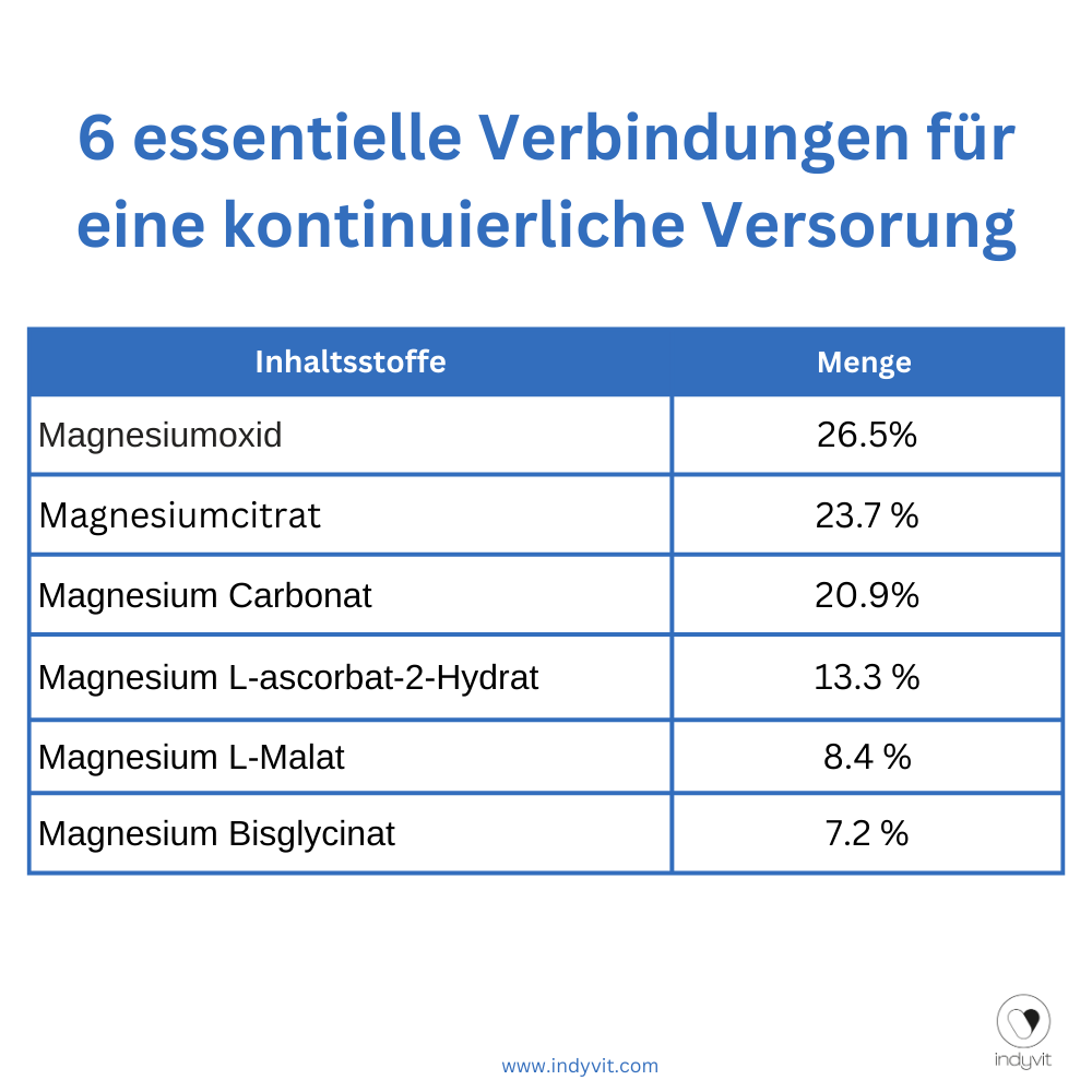 indyvit Magnesium 6-Mix (290 Kaps.)