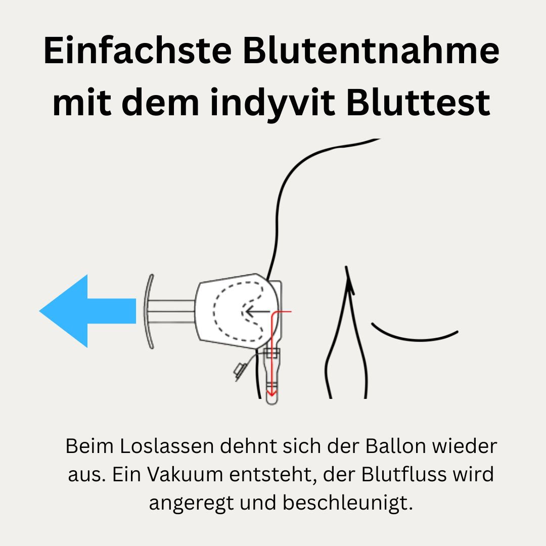 indyvit All-in-1 Bluttest