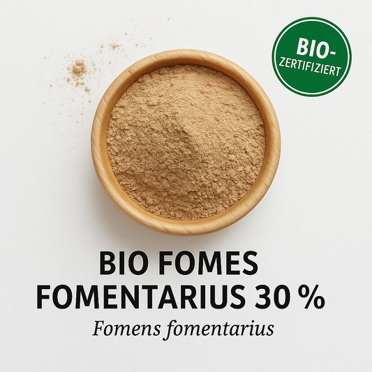Bio Fomes Fomentarius Extrakt