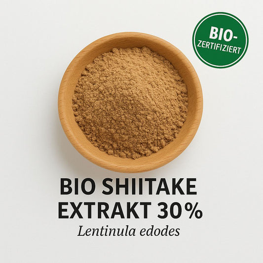 Bio Shiitake Extrakt