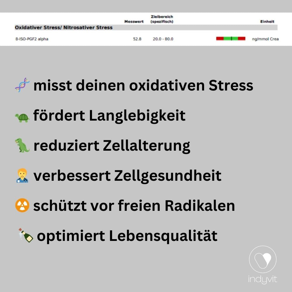 die Vorteile eines Tests "Oxidativer Stress"