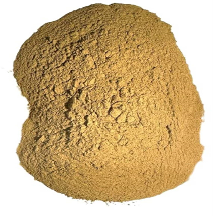 Rhodiola (Rosenwurz)