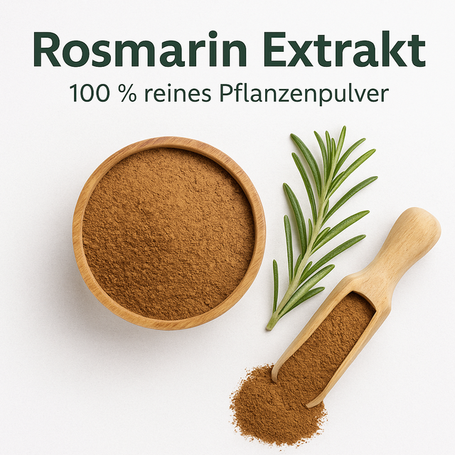 Rosmarinblatt Extrakt