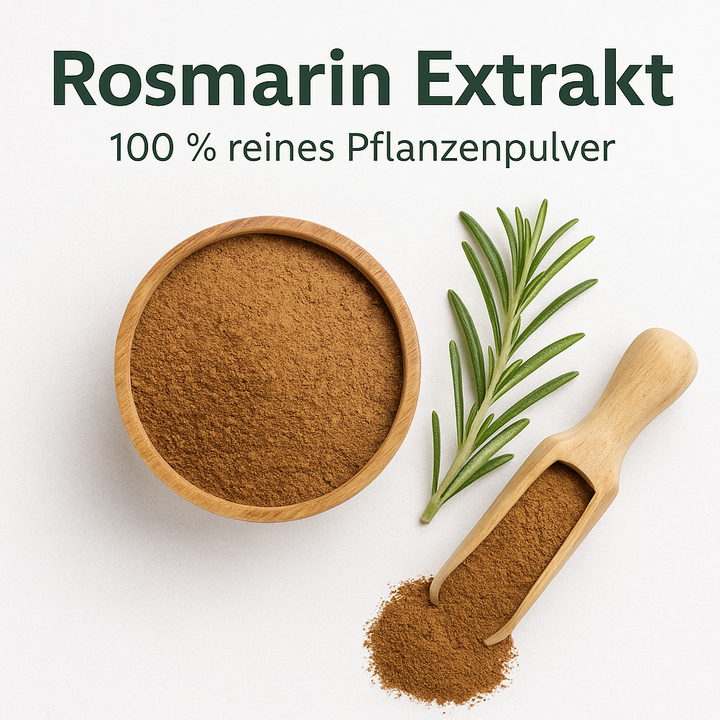 Rosmarinblatt Extrakt