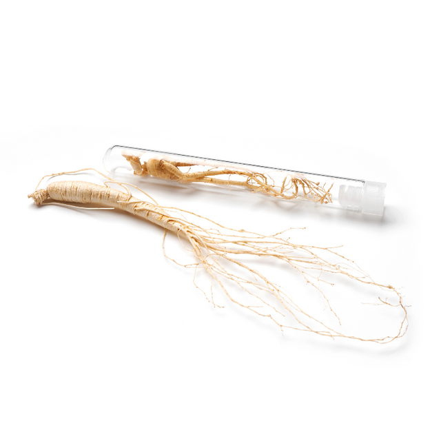 Ginseng